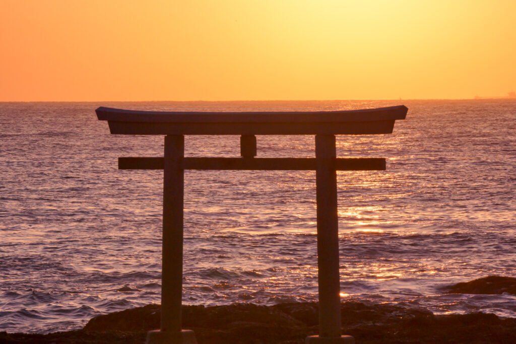 🏞️ 도리이자키 해변공원 (토리이자키 카이힌 코엔) 이미지 8